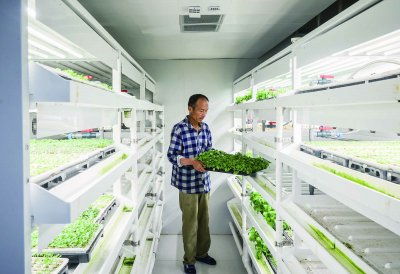 浦口节水型育苗技术实现突破，节水率达50%并启动全国推广与技术转让